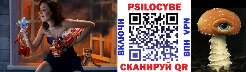 Галлюциногенные грибы MAGIC MUSHROOMS  Богданович 