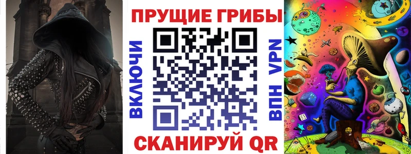 Псилоцибиновые грибы Psilocybe Богданович
